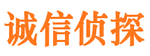 湖北诚信私家侦探公司